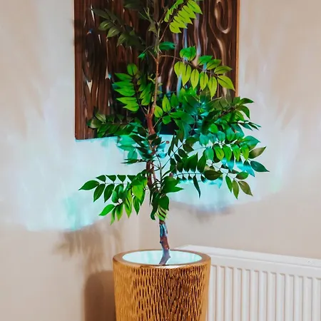 Wellness Paradise Mit Whirlpool Bochum