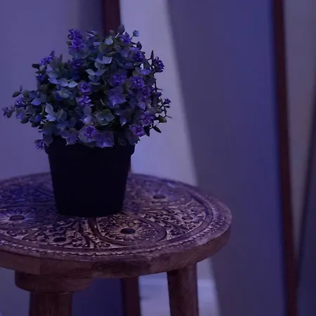 Wellness Paradise Mit Whirlpool Apartman