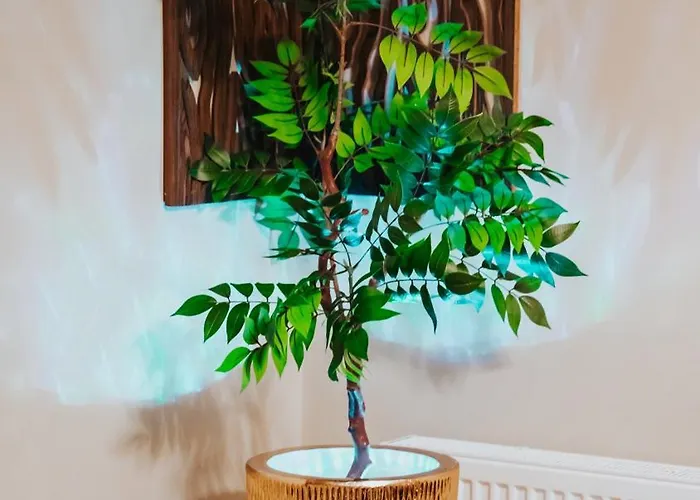 Wellness Paradise Mit Whirlpool Bochum