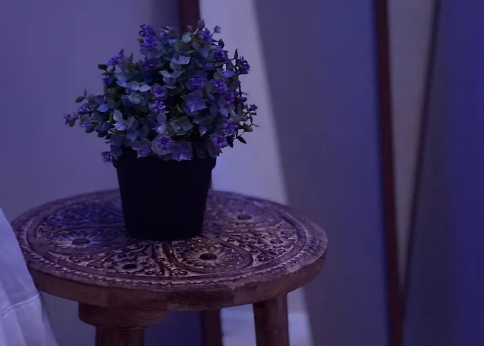 Wellness Paradise Mit Whirlpool 公寓